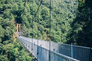 安徽驚險刺激景區全攻略 5D玻璃橋、高空滑索，挑戰你的勇氣極限！