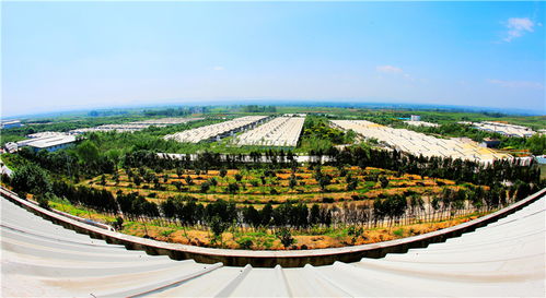 謀定后動(dòng)譜華章，氣勢(shì)如虹唱大風(fēng) 論新時(shí)代景區(qū)管理的智慧與氣魄